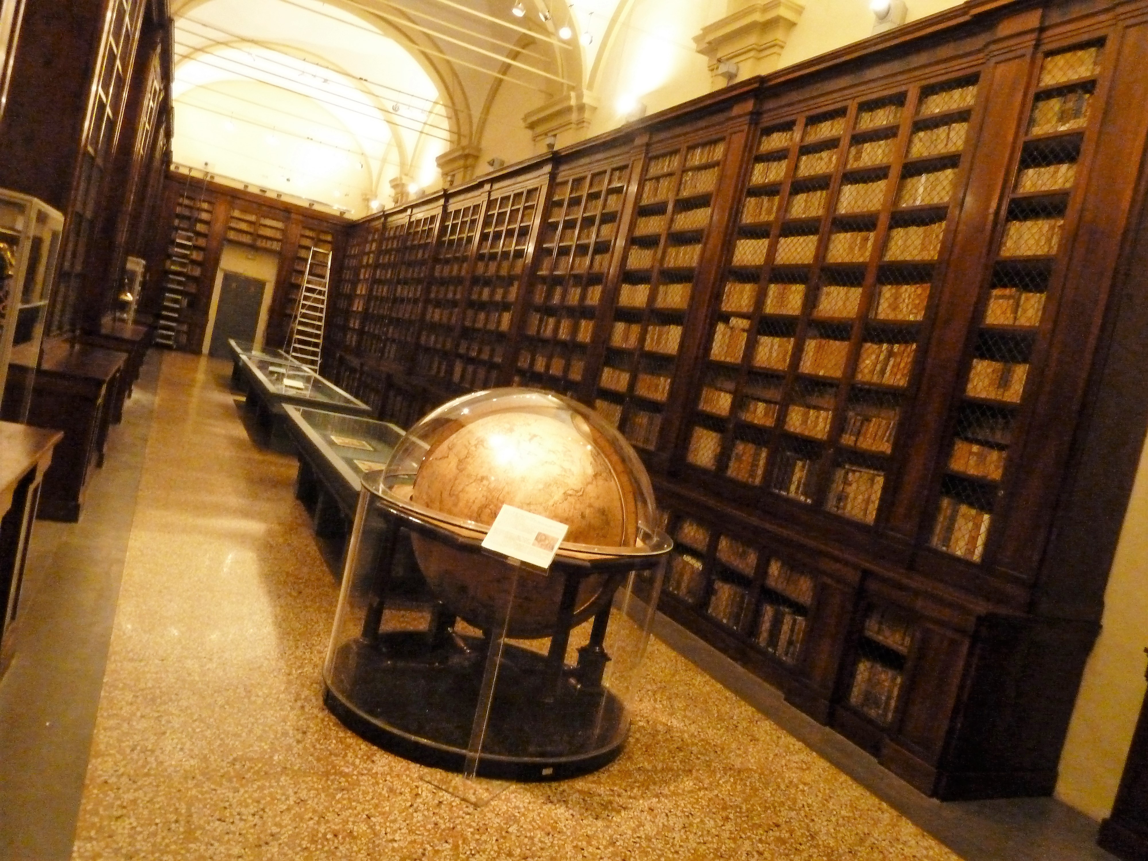 biblioteca unibo